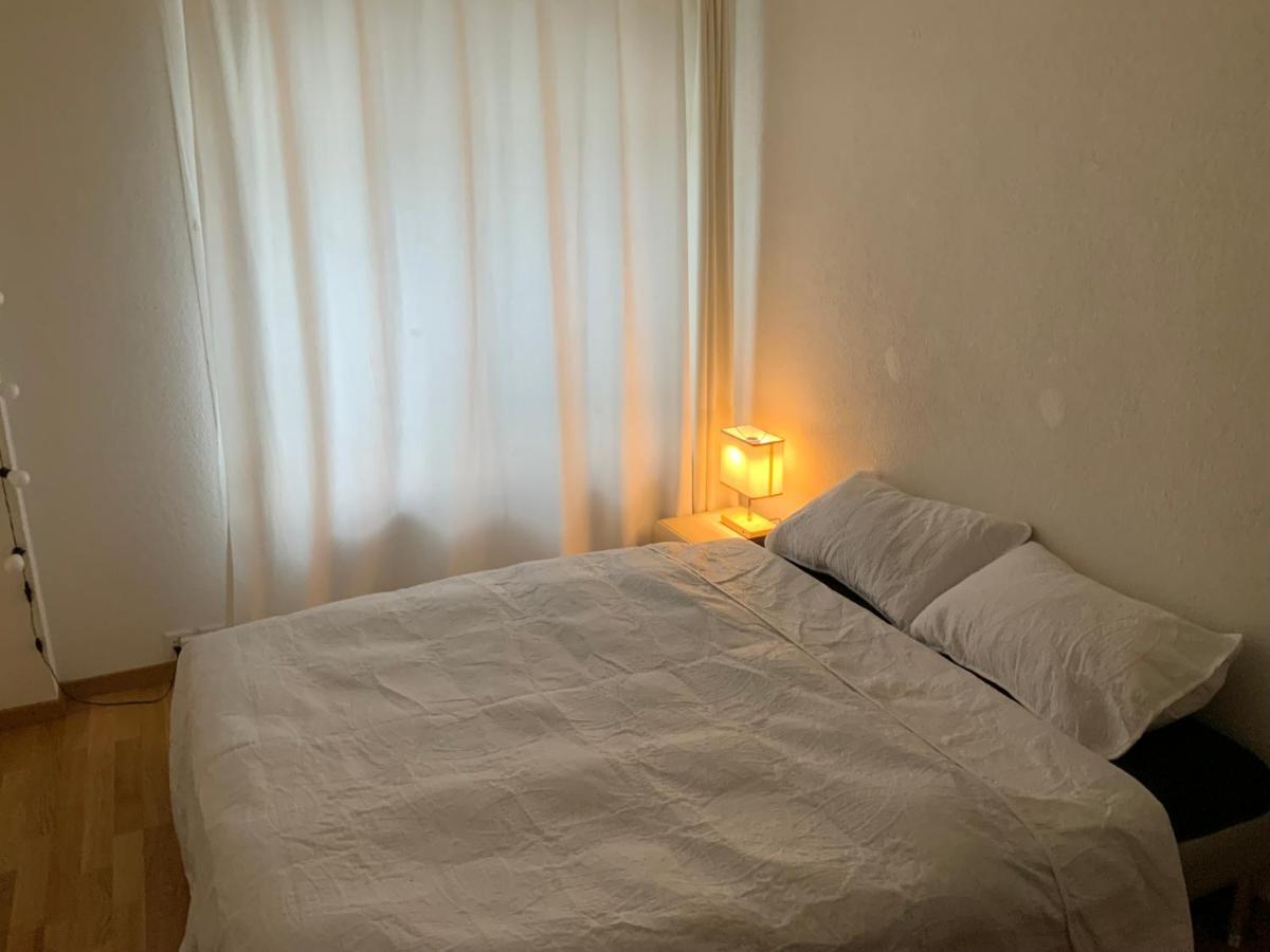 Lion Bb Swiss Apartment Zurich Exterior photo