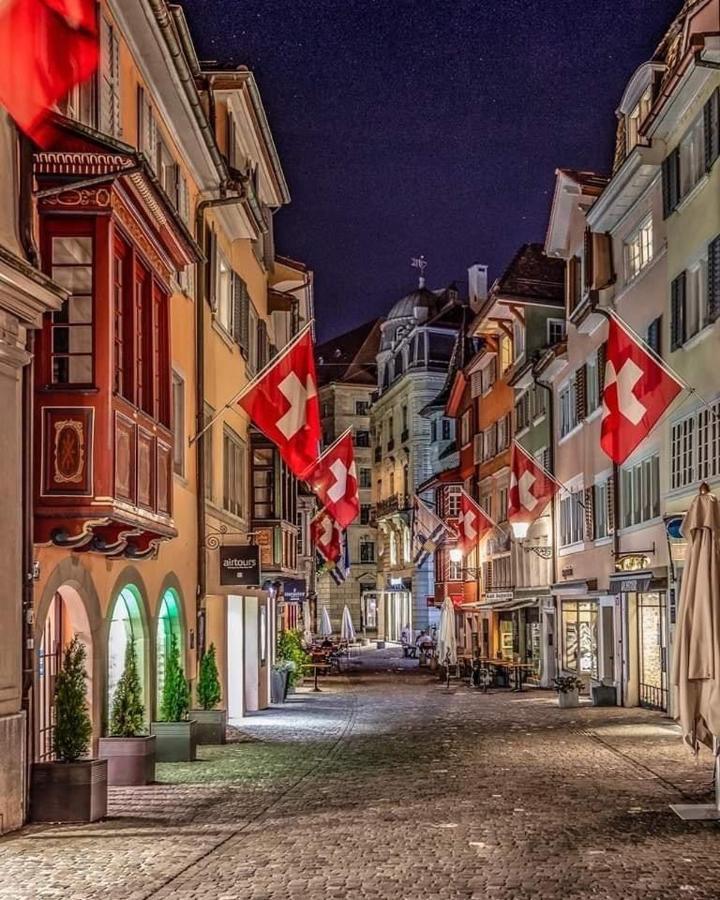 Lion Bb Swiss Apartment Zurich Exterior photo